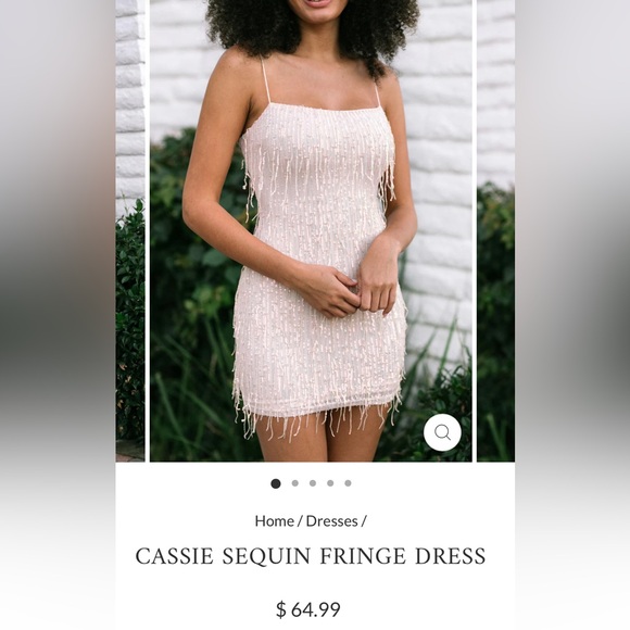 NWT Cassie Sequin Fringe Dress in Pink - Size L - Picture 2 of 10